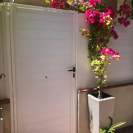 Forget Me Not Boutique Appartement